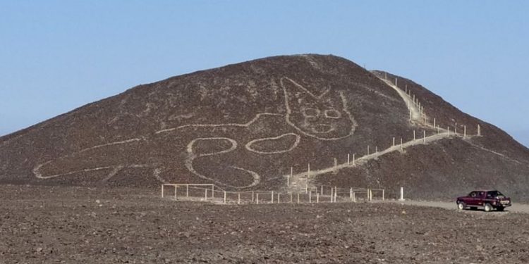 Imazh i maces ne Peru