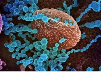 Pyetje e përgjigje mbi variantin anglez të Sars-Cov 2