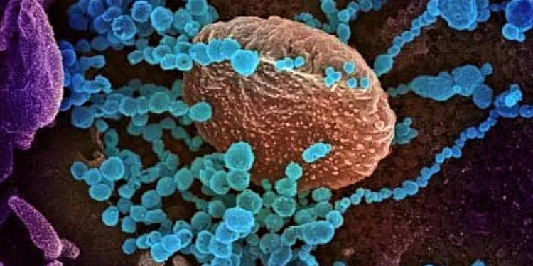 Pyetje e përgjigje mbi variantin anglez të Sars-Cov 2