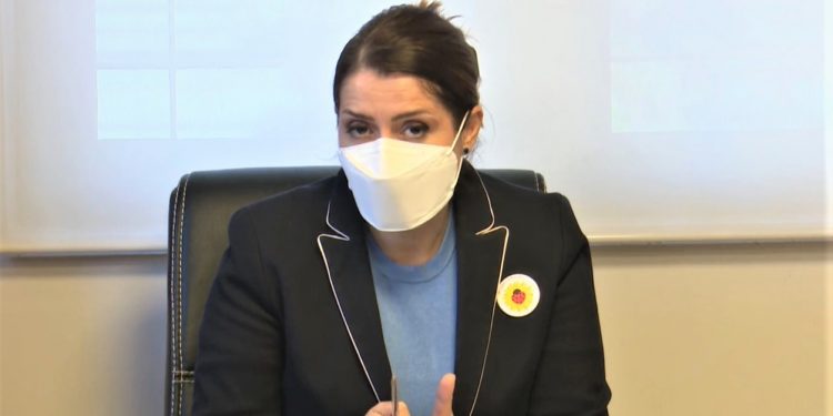 Vendimet e reja të Komitetit Teknik të Ekspertëve: jo fluturimeve me Anglinë deri më 1 shkurt