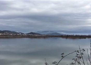 Shkodra vazhdon nën ujë. Pamje live nga Bashkia