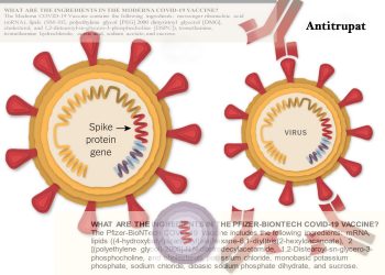 Vaksinat antikovid: ç’përmbajnë dhe si na sigurojnë imunitetin
