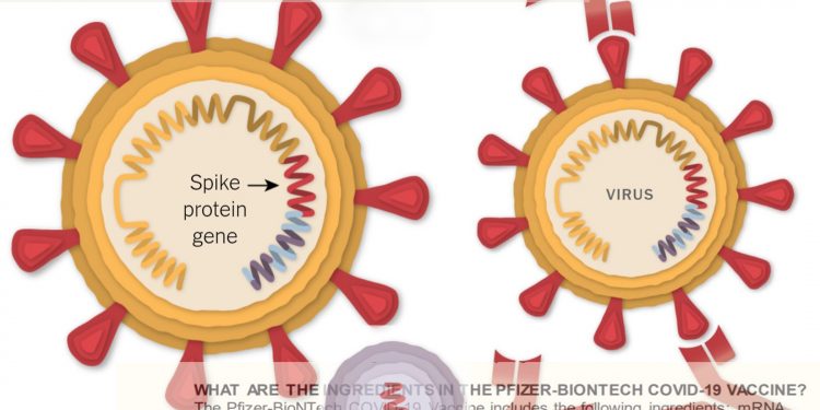 Vaksinat antikovid: ç’përmbajnë dhe si na sigurojnë imunitetin