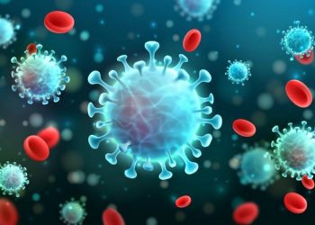 COVID-19/ Pasqyra sot