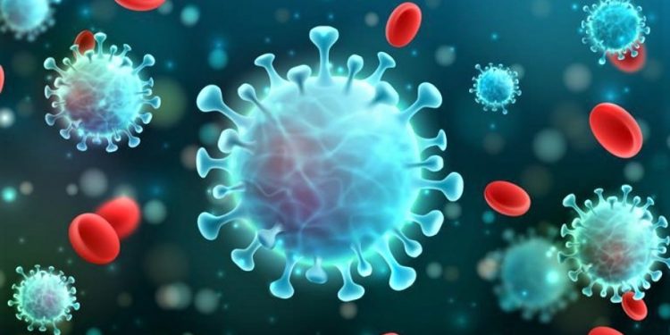 COVID-19/ Pasqyra sot