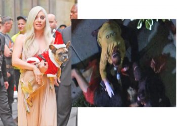 Lady Gaga-s  i vjedhin bulldogët dhe shtien mbi atë që i shëtiste. 500.000 dollarë shpërblim për kë që i gjen