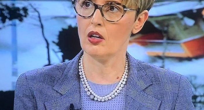 Program-shkrues, a keni menduar ndonjëherë si do ta angazhoni diasporën shkencore? Nga Irena Beqiraj