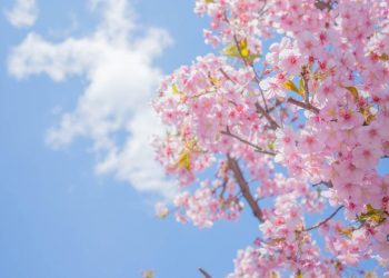 Ngrohet moti, temperaturat kapin mbi 23-24 gradë