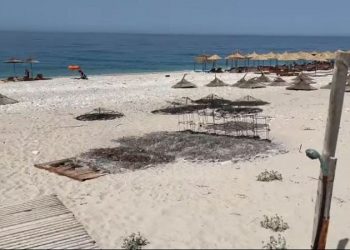 Vrasjet dhe djegiet e shezlonëve në bregdet,Topuzi: “Katrahurë  e qëllimshme, strategjitë e Turizmit janë, por anulohen sipas pushteteve në fuqi”