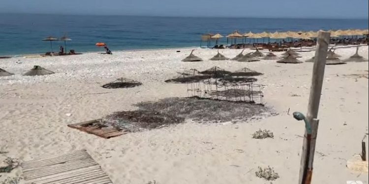 Vrasjet dhe djegiet e shezlonëve në bregdet,Topuzi: “Katrahurë e qëllimshme, strategjitë e Turizmit janë, por anulohen sipas pushteteve në fuqi”