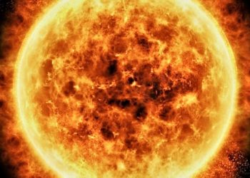 Horoskopi, 19-25 korrik