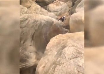 Ngecin në Kanionin e Gjipesë, Policia shpëton të rinjtë