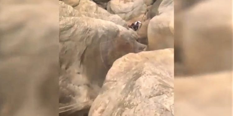 Ngecin në Kanionin e Gjipesë, Policia shpëton të rinjtë