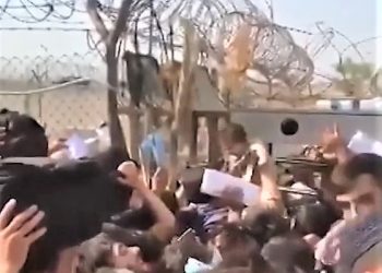 Afganasit vërvisin fëmijët mbi telat me gjemba. Shpresojnë t’i shpëtojnë, duke ua dhënë ushtarëve t’i hipin në avione (video)