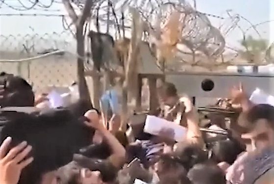 Afganasit vërvisin fëmijët mbi telat me gjemba. Shpresojnë t’i shpëtojnë, duke ua dhënë ushtarëve t’i hipin në avione (video)