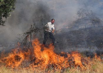 Vdekja e 64 vjeçarit nga zjarri, reagon Basha: “Si në rastin e tërmetit, emergjencat civile  totalisht të papërgatitura”