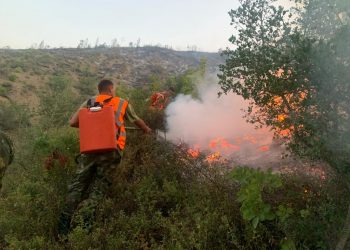 Dramatike situata e zjarreve në vend. Shënohet viktima e parë