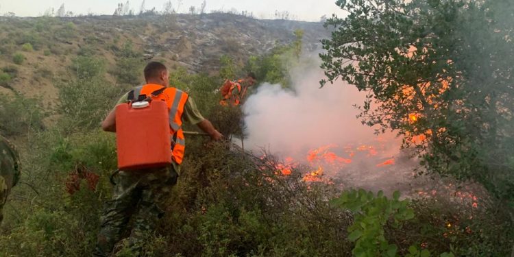 Dramatike situata e zjarreve në vend. Shënohet viktima e parë