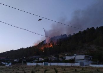 Zjarret në vend/ Procedohen 5 persona për zjarrvënie të qëllimshme. Të tjerë nën hetim