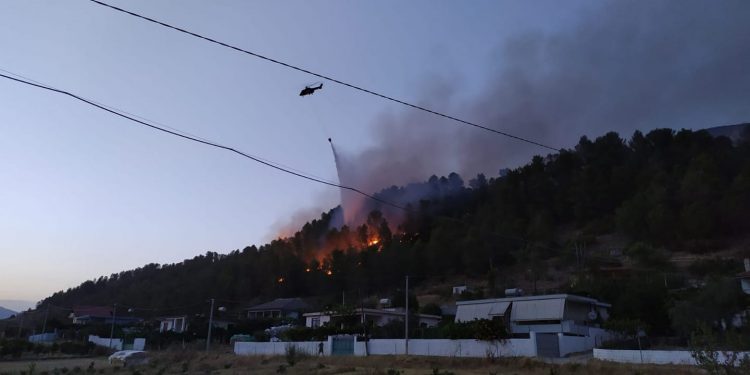 Zjarret në vend/ Procedohen 5 persona për zjarrvënie të qëllimshme. Të tjerë nën hetim