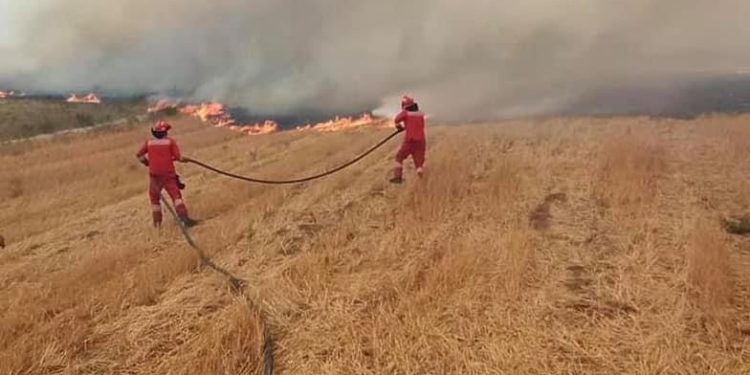 Nisin procedimet për zjarrëvenënie/ Pranga në Fier, Kukës, Durrës, Belsh  e Librazhd