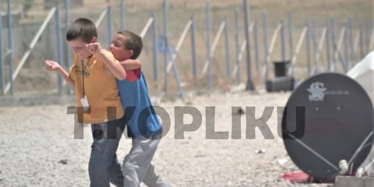 Gazetari Taulant Kopliku rrëfen peripecitë e grave dhe fëmijëve në kampet e tmerrit në Siri. Peng:  “Nuk arrita të kontakoj familjen Shuli nga Pogradeci. I kërkojnë gjyshërit”
