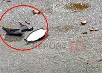 Sherr të fortësh mes mësueseve të gjimnazit “Çajupi”. Plagosen 4 persona