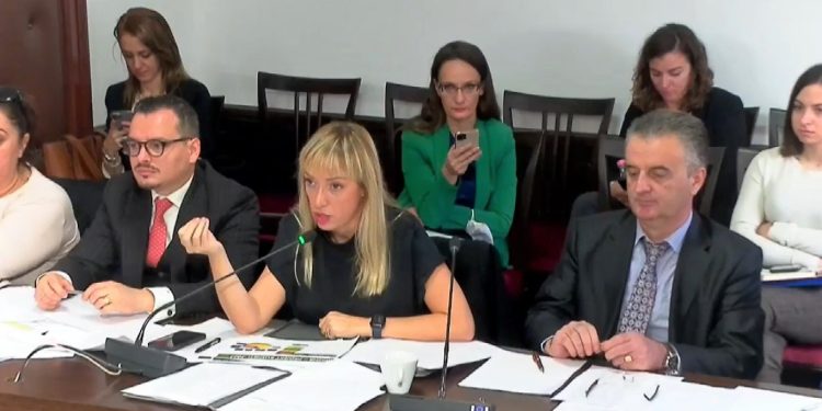 “Akademia e Blektorëve’, reagon Krifca: “Me keni keqkuptuar, unë këtë punë kam, do flas për të gjitha edhe çobenërit, edhe për dhentë…”