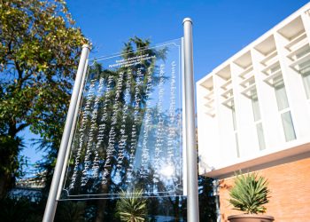 “Ditët më të mira i kemi përpara. Demokratët do të bashkohen më 18 dhjetor, për të zgjedhur të ardhmen”, Basha e cilëson momentin aktual të PD-së, si më të errëtin e 31 viteve