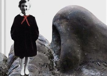 Disa komente të kursyera mbi librin e Lea Ypit “Të lirë”. Nga Ermal Hasimja*