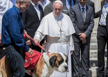 Papa Françesku shënjestron ata që vënë kafshët mbi njerëzit: “Të zgjedhësh kafshët në vend të njerëzve, është egoizëm”