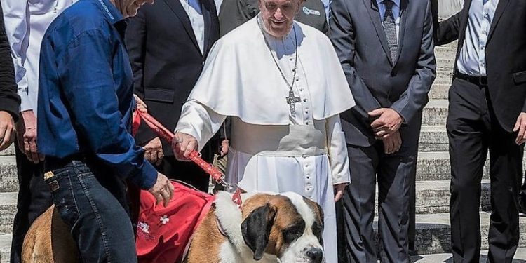Papa Françesku shënjestron ata që vënë kafshët mbi njerëzit: “Të zgjedhësh kafshët në vend të njerëzve, është egoizëm”