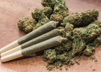 A keni parë ferr të rinjsh të droguar? Të gjithë e kanë nisur nga kjo cigare! Nga Mentor Kikia