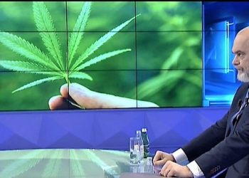 Legalizimi i kanabisit/ Rama: “Do hapim fronte pune, do kemi rritje ekonomike”