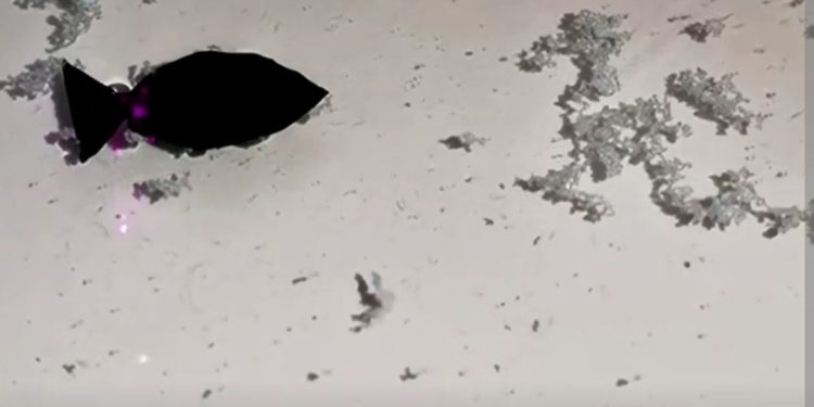 Kinezët shpikin peshkun që ha plastikën: “Mund të ndihmojë në pastrimin e deteve”