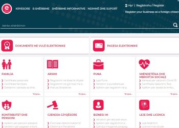 Sulmi kibernetik/ Kthehet e-albania