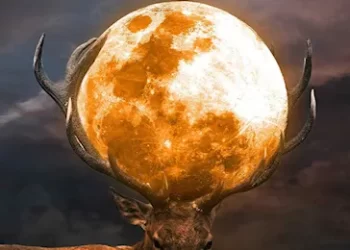 Sot hëna më e madhe e vitit. Ja pse quhet superhëna e Drerit