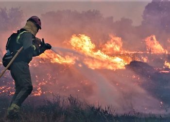 Temperaturat mbi 40 gradë i vënë flakën Evropës.  Eksperti: “Në të ardhmen kaq do jenë normale, do rriten edhe më”