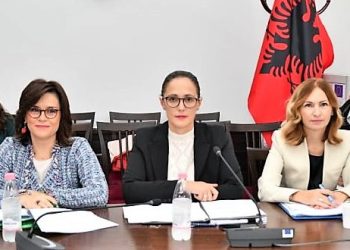 Projektbuxheti 2023, Ibrahimaj: “Tatim mbi fitimin edhe profesioneve të lira që ofrojnë shërbime, rregjistruar si person fizik”