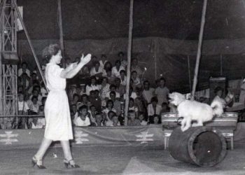 Ndahet nga jeta Sanije Baçova. Një nga ikonat e Cirkut Kombëtar