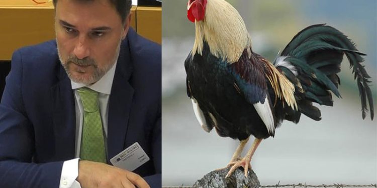 “Të shpëtojmë Alibejan!” nga Tritan Shehu