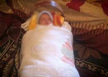 Çudi alla shqiptare/ Arrestohet lehona për një gjobë të papaguar