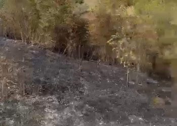 Kashar/ U vë zjarrin plehërave, djeg tërë zonën përreth. Arrestohet 55 vjeçari