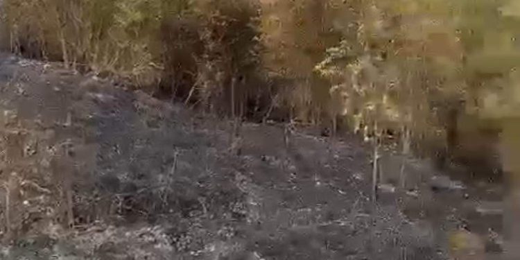 Kashar/ U vë zjarrin plehërave, djeg tërë zonën përreth. Arrestohet 55 vjeçari