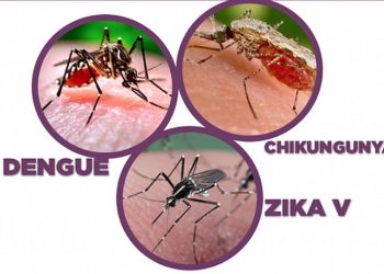 Ndryshimet klimaterike favorizojnë shtimin e sëmundjeve prej mushkonjave/ Ja ç’thotë studimi i “The Lancet Planetary Health”