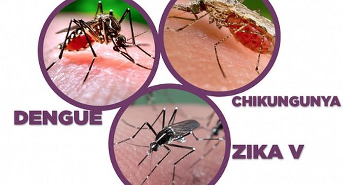 Ndryshimet klimaterike favorizojnë shtimin e sëmundjeve prej mushkonjave/ Ja ç’thotë studimi i “The Lancet Planetary Health”