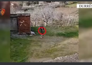 DHUNA NË FAMILJE/ Kërcënoi me sëpatë të atin, prangoset 35 vjeçari