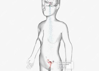 FËMIJËT/Ulet në 8 vjeç mosha e pubertetit, mjekët vënë alarmin: “Fajtorë celularët, stresi dhe jeta sedentare”