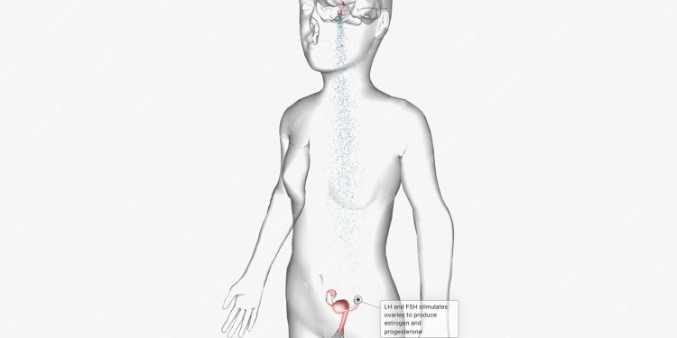 FËMIJËT/Ulet në 8 vjeç mosha e pubertetit, mjekët vënë alarmin: “Fajtorë celularët, stresi dhe jeta sedentare”