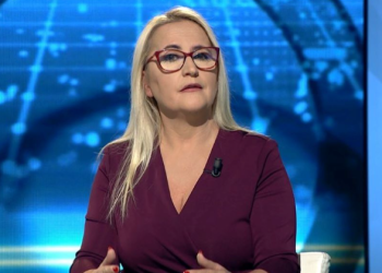 “Kryeministër Diaspora nuk është mall tregu i zi!”/ Nga Alba Kepi